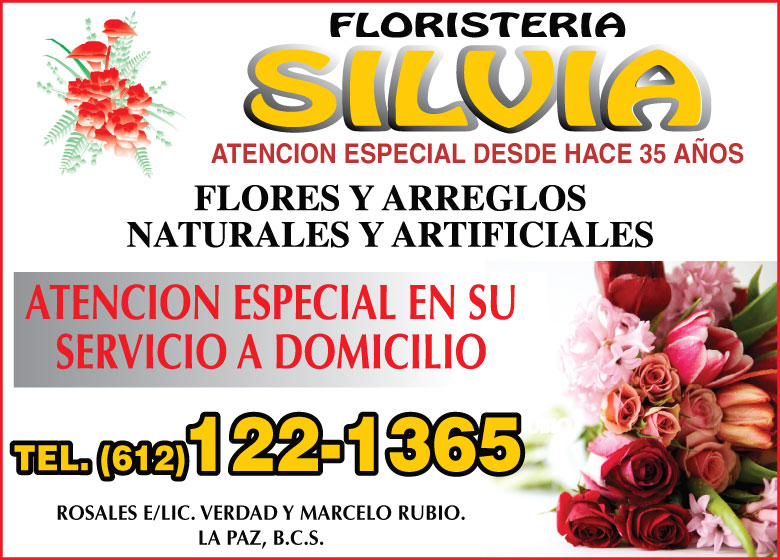 Details 49 floreria en la paz baja california sur - Abzlocal.mx