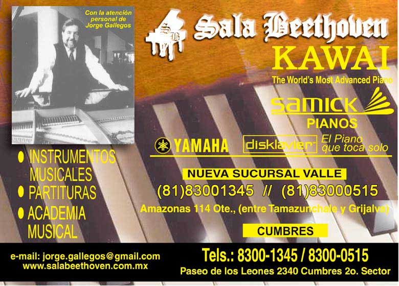 Sala Beethoven Instrumentos Musicales en Nuevo Leon, Monterr
